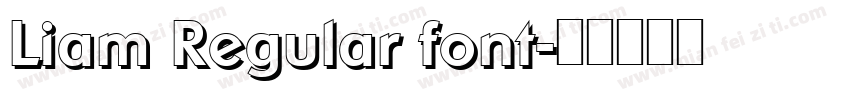 Liam Regular font字体转换